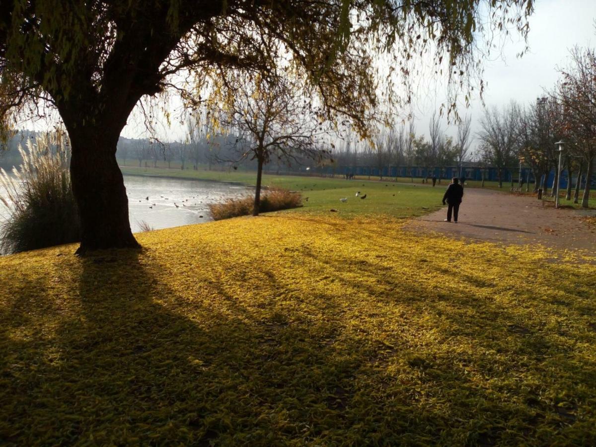 La Laguna Daire Laguna de Duero Dış mekan fotoğraf