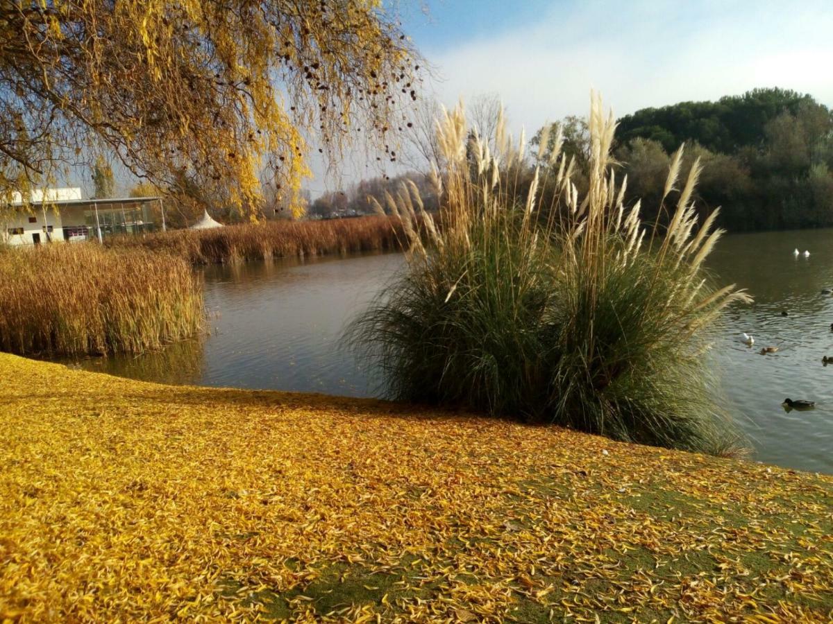 La Laguna Daire Laguna de Duero Dış mekan fotoğraf