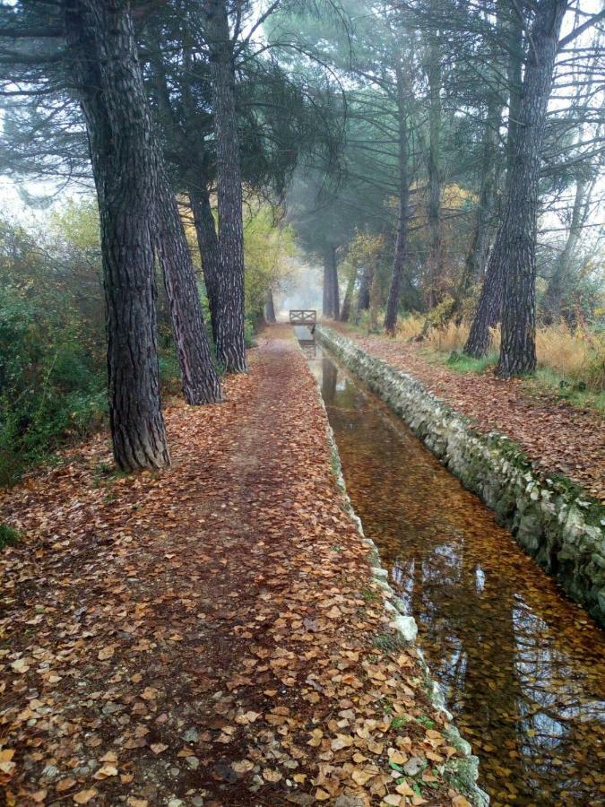 La Laguna Daire Laguna de Duero Dış mekan fotoğraf